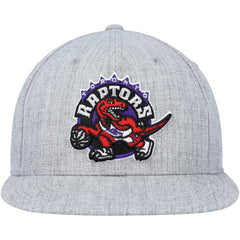 Mitchell & Ness Toronto Raptors Hardwood Classics 2.0 Snapback Hat Heather Gray