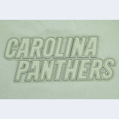 Carolina Panthers Pro Standard Women's Oversized Cropped Neutral Pullover Sweatshirt - Light Green - NFL