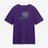 Tampa Bay Rays Fanatics Alternate Logo Legacy T-Shirt for sale