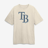 Tampa Bay Rays Fanatics Stadium Slub T-Shirt Online