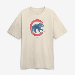 Chicago Cubs Fanatics Stadium Slub T-Shirt Sale