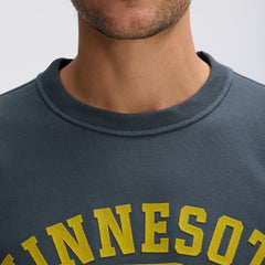 Minnesota Vikings IconicFleece Short Sleeve Sweatshirt - Charcoal - Fanatics