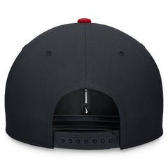 Minnesota Twins Nike Two-Tone Snapback Hat Sale
