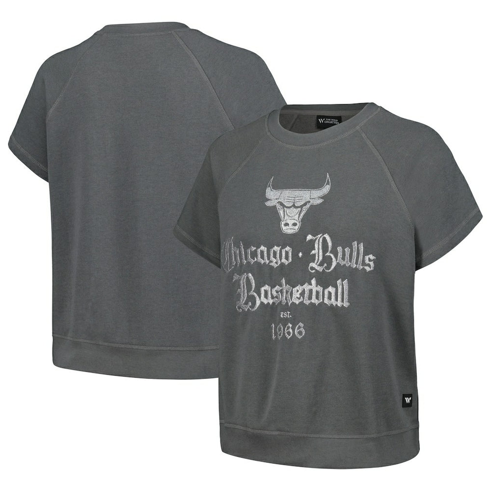 Chicago Bulls The Wild Collective Women's Embroidered Fleece Raglan Short Sleeve Pullover Sweatshirt Gray