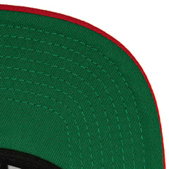Florida Panthers Mitchell & Ness Core Team Ground 2.0 Snapback Hat - Navy | NHL online