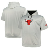 Fanatics Chicago Bulls Big & Tall Logo Pullover Hoodie Silver