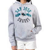 San Jose Sharks G-III 4Her by Carl Banks Women's City Graphic Fleece Pullover Hoodie - Heather Gray | NHL discount