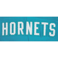 Charlotte Hornets Pro Standard Women's 2023/24 City Edition Cropped Pullover Hoodie Teal