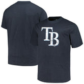 Tampa Bay Rays Profile Big & Tall Weathered Logo T-Shirt Outlet