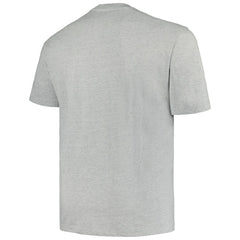 Minnesota Wild Profile Big & Tall Arch Over Logo T-Shirt - Heather Gray | NHL online