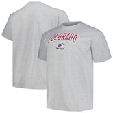 Colorado Avalanche Profile Big & Tall Arch Over Logo T-Shirt - Heather Gray | NHL online