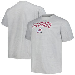 Colorado Avalanche Profile Big & Tall Arch Over Logo T-Shirt - Heather Gray | NHL online