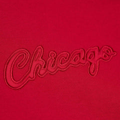 Mitchell & Ness Chicago Bulls Hardwood Classics Tonal Pullover Hoodie Red