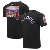 St. Louis Cardinals Pro Standard Cityscape T-Shirt Sale