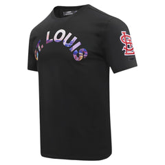 St. Louis Cardinals Pro Standard Cityscape T-Shirt Sale
