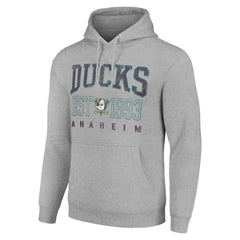 Anaheim Ducks Starter Retro Graphic Pullover Hoodie - Heather Gray | NHL near me