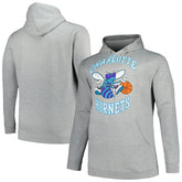 Mitchell & Ness Charlotte Hornets Hardwood Classics Big & Tall Pullover Hoodie Heather Gray