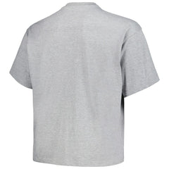 Mitchell & Ness Denver Nuggets Big & Tall Hardwood Classics Vintage Logo T-Shirt Heather Gray