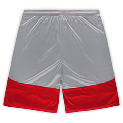 Arizona Cardinals Big & Tall Team Logo Shorts - Cardinal - Fanatics