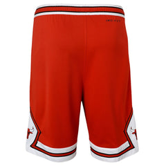 Nike Chicago Bulls Youth Swingman Performance Shorts Red Icon Edition