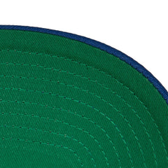 Washington Capitals Mitchell & Ness Team Ground Pro Adjustable Hat - Blue | NHL sale
