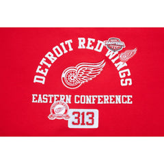 Detroit Red Wings Pro Standard Women's Area Code Cropped Pullover Sweatshirt - Red | NHL on sale