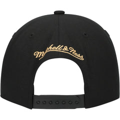 Florida Panthers Mitchell & Ness Core Team Script 2.0 Snapback Hat - Black | NHL discount