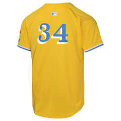 David Ortiz Boston Red Sox Nike Youth City Connect Limited Player Jersey for sale