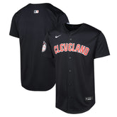 Cleveland Guardians Nike Youth Alternate Limited Jersey Sale