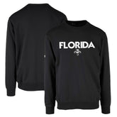 Florida Panthers Levelwear Zane City Capsule Pullover Sweatshirt - Black | NHL sale