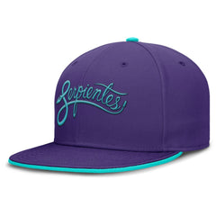 Arizona Diamondbacks Nike 2025 City Connect True Performance Fitted Hat Near Me