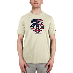 Minnesota Twins New Era Americana Flag Fill T-Shirt Discount