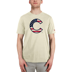 Chicago Cubs New Era Americana Flag Fill T-Shirt Sale
