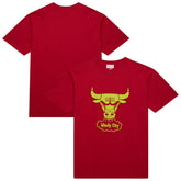 Mitchell & Ness Chicago Bulls Hardwood Classics Neon Nights Premium T-Shirt Red