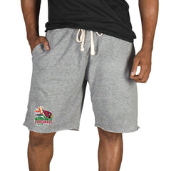 Arizona Cardinals Concepts Sport Mainstream Tri-Blend Shorts - Gray - NFL