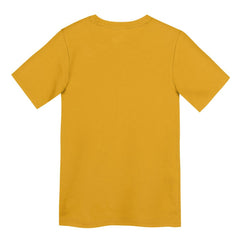 Pittsburgh Steelers Preschool Icon Legend Dri-FIT T-Shirt - Gold - Nike