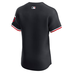 Minnesota Twins Nike Alternate 2 Elite Jersey for sale