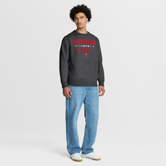 Tampa Bay Buccaneers Powerful Throw Legacy Pullover Sweatshirt - Heather Pewter - Fanatics