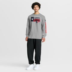 Houston Texans Hometown Sweep Legacy Long Sleeve T-Shirt - Heather Gray - Fanatics