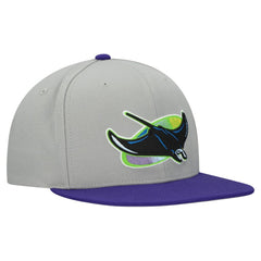 Tampa Bay Rays Mitchell & Ness Cooperstown Collection Basic Flip Snapback Hat Discount