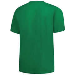 Detroit Lions Big & Tall Celtic T-Shirt - Kelly Green - Fanatics