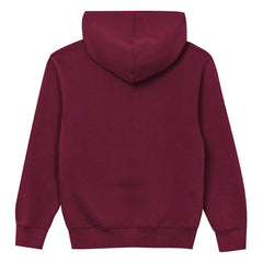 Washington Commanders Outerstuff Preschool Back to Basics Hoodie - Burgundy - NFL