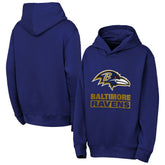Baltimore Ravens Outerstuff Youth Back to Basics Hoodie - Purple - NFL