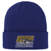 Baltimore Ravens Outerstuff Youth Team Gradient Cuffed Knit Hat - Purple - NFL