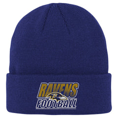 Baltimore Ravens Outerstuff Youth Team Gradient Cuffed Knit Hat - Purple - NFL