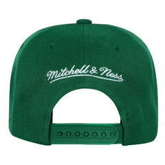 Mitchell & Ness Boston Celtics Youth Anniversary Duo Front Snapback Hat Kelly Green