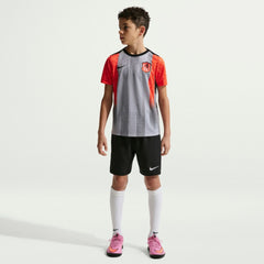 Nike - Chelsea Youth 2025/26 Academy Pro Pre-Match Top - Gray