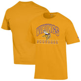 Minnesota Vikings Champion Football T-Shirt - Gold - NFL