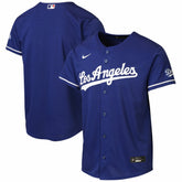 Los Angeles Dodgers Nike Youth Alternate 2 Stadium Jersey Discount