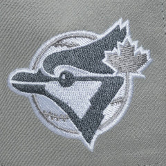 Toronto Blue Jays Mitchell & Ness Cooperstown Thunderstorm Head Coach Pro-Crown Adjustable Hat Sale